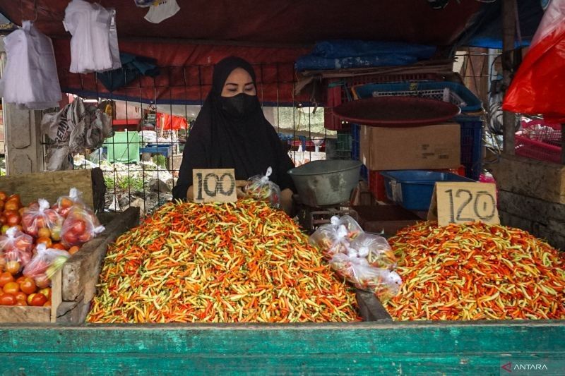 Harga Cabai di NTB Tembus Rp200.000/Kg, Pemprov Imbau Konsumen Tak Selektif