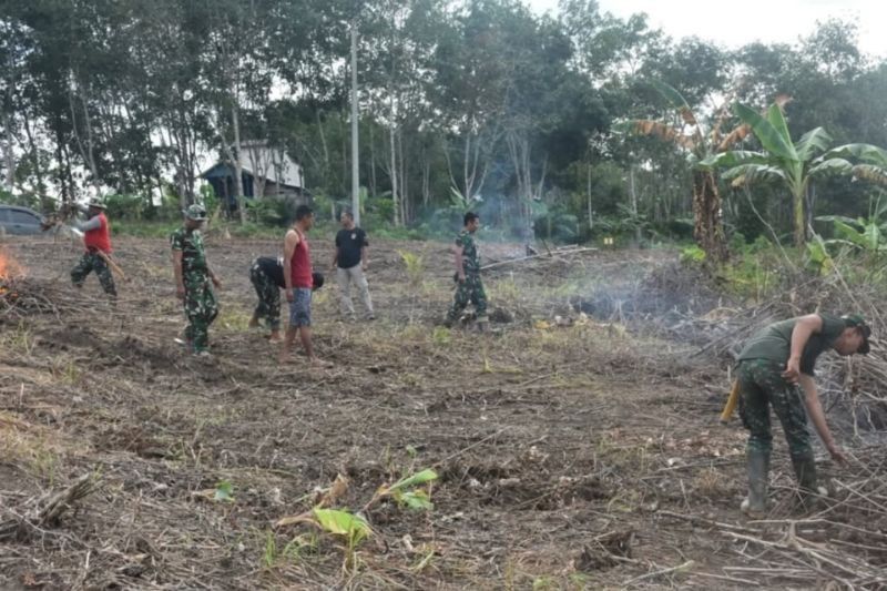 TNI Manunggal Membangun Desa (TMMD) Kotabaru: Lahan Tidur Disulap Jadi Kebun, Dorong Ekonomi Warga