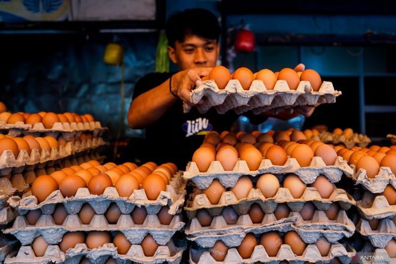 Pemerintah Jaga Harga Pangan Jelang Ramadhan dan Idul Fitri 2025