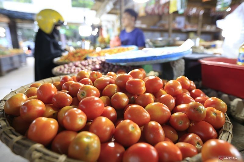 Tomat Picu Inflasi Gorontalo Februari 2025: BPS Ungkap Penyebabnya