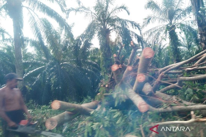 Tujuh Kejadian Bencana Guncang Mukomuko dalam Dua Bulan Terakhir