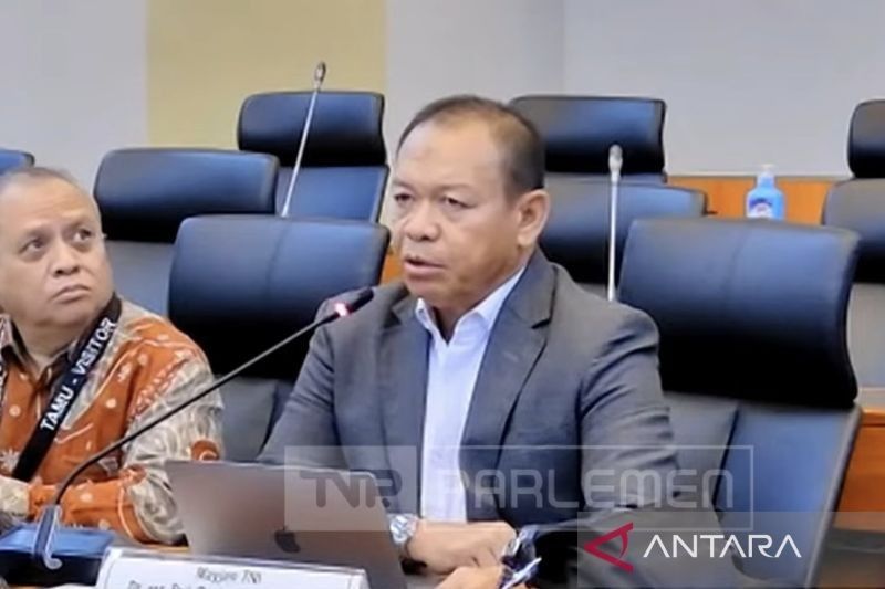 Pakar Usul TNI Bebas Isi Jabatan Sipil, Buka Jalan Multifungsi Militer?