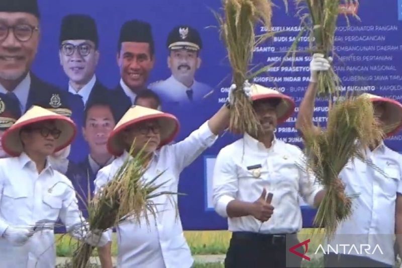 Zulhas Tekankan Pengawasan Harga Gabah Petani, Minimal Rp6.500 per Kilogram