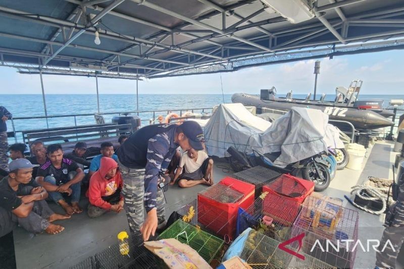 TNI AL Gagalkan Penyelundupan PMI Ilegal dan Satwa Langka di Selat Malaka