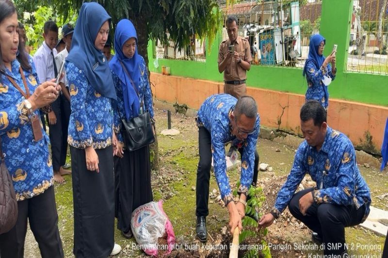 DPP Gunungkidul Salurkan Bibit Buah, Dorong Ketahanan Pangan dan Lahirkan Petani Milenial