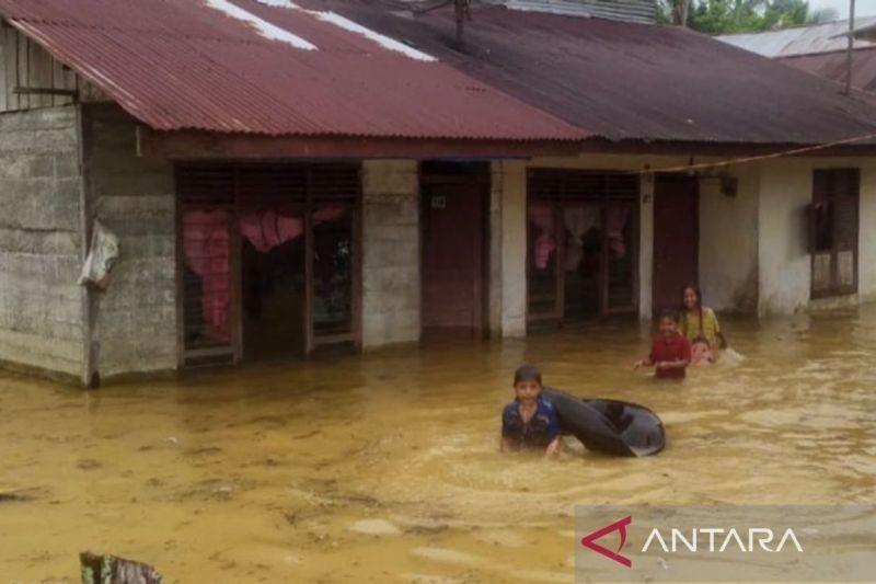 Banjir Rendam 20 Desa di Aceh Barat, Sungai Krueng Meureubo dan Woyla Meluap