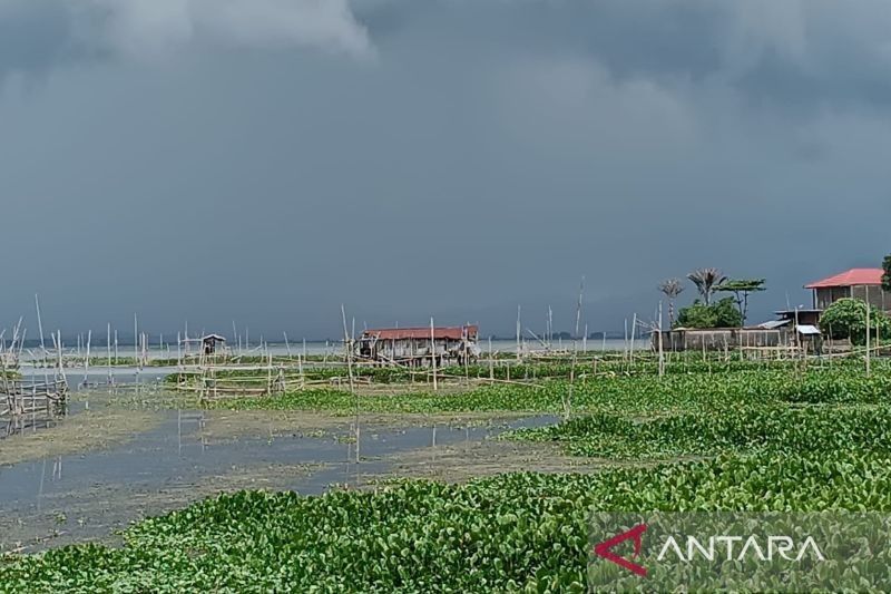 TNI Bantu Bersihkan Eceng Gondok, Danau Tondano Sulawesi Utara Akan Kembali Indah