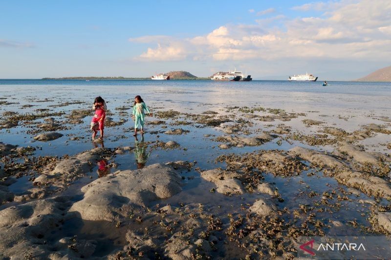 NTB Perluas Kawasan Konservasi Laut: Target 16 Kawasan pada 2025