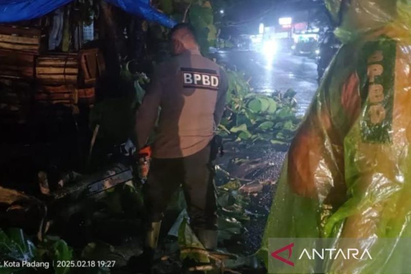 Longsor di Jalan Padang-Solok Lumpuhkan Akses, BPBD Padang Terjunkan Tim