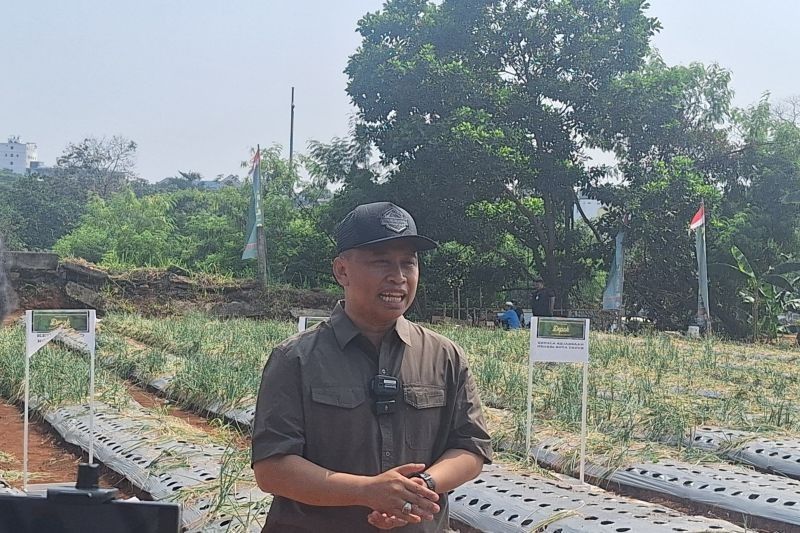 Pemkot Depok Prioritaskan Revitalisasi Sarana Pendidikan, Sasar 258 Sekolah Rusak