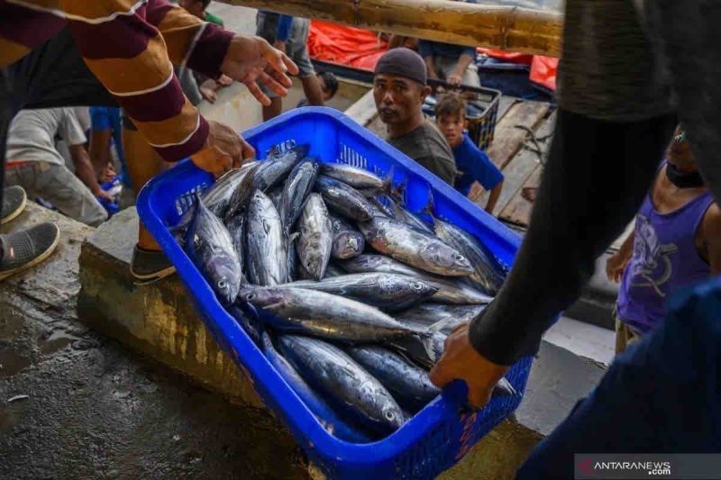 Pemerintah RI Pastikan Stok Ikan Aman dan Cukup Jelang Ramadan dan Lebaran