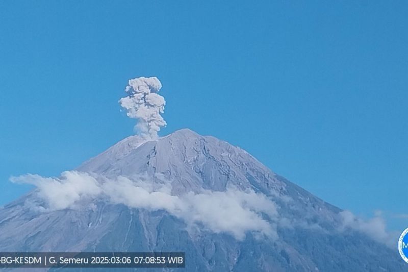 Semeru Erupsi! Letusan Capai 1.100 Meter, Warga Diminta Jauhi Zona Bahaya