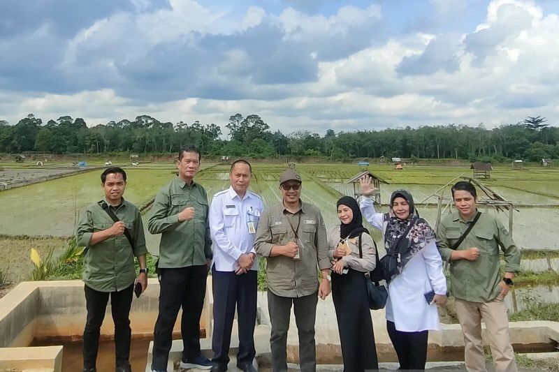 Pemprov Jambi Usul Optimasi 7.000 Ha Lahan Pertanian ke Kementan