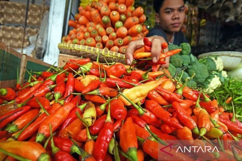 Harga Cabai Rawit Tembus Rp97.250 per Kg, Bawang Merah Capai Rp43.850 per Kg