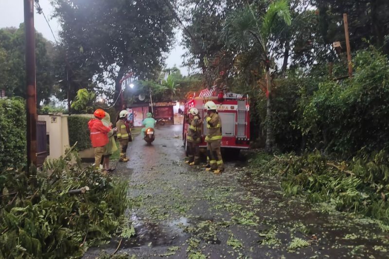 Hujan Deras di Bandung Akibatkan Banjir dan Pohon Tumbang, Pemkot Berikan Santunan