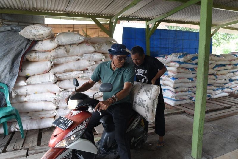 Petani Singkong Dapat Subsidi Pupuk, Catat Tanggal Pendaftarannya!