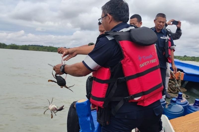 PT Timah Lepasliarkan 300 Bibit Kepiting di Perairan Kundur, Jaga Ekosistem dan Ekonomi Nelayan