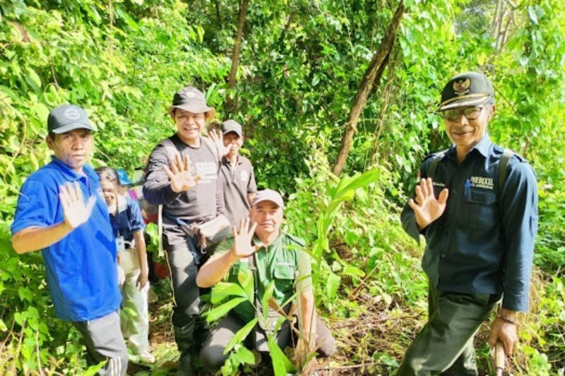 60 Pohon Aren Ditanam di Hutan Desa Ambengan, Buleleng: Lestarikan Alam, Sejahterakan Warga