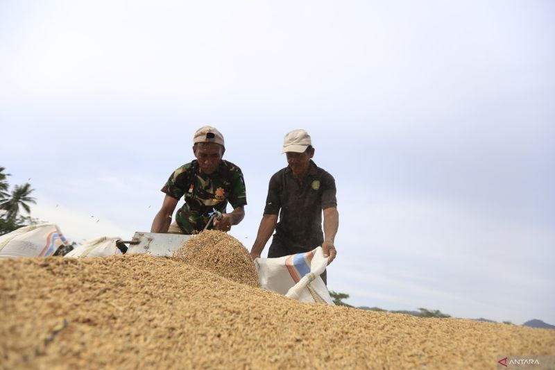 Pendapatan Petani Gorontalo Meningkat: NTP Februari 2025 Capai 112,58