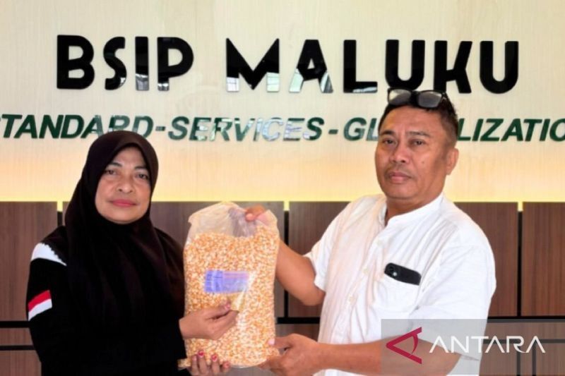 BSIP Maluku Berikan Bibit Cabai dan Jagung untuk Warga Binaan Lapas Perempuan Ambon