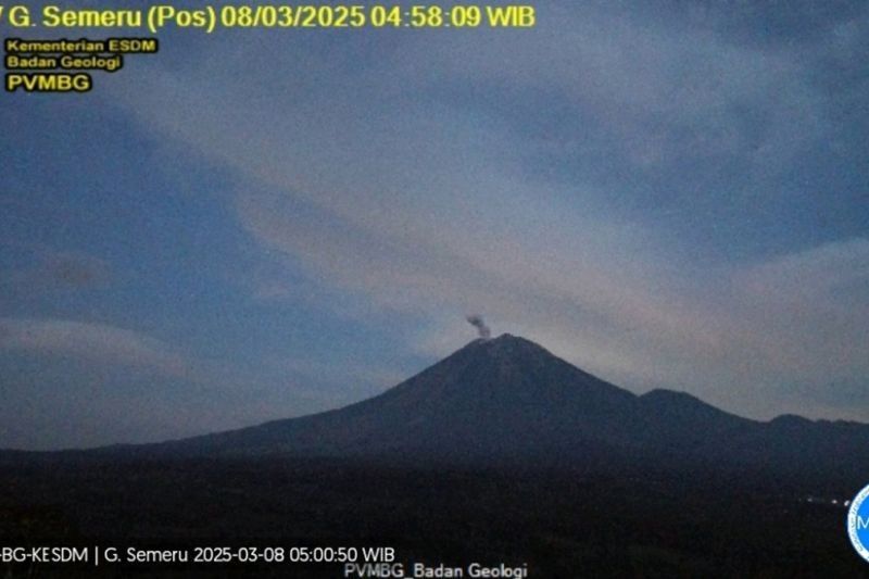 Semeru Erupsi Empat Kali, Tinggi Letusan Capai 700 Meter