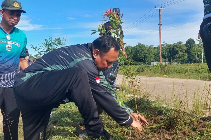 Papua Barat Daya Tanam 100 Pohon Semarakkan HBR: Langkah Nyata Lestarikan Lingkungan