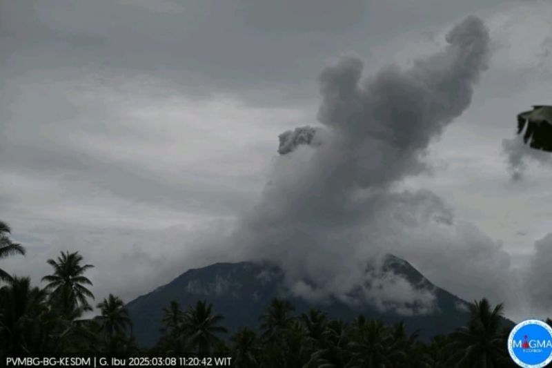 Gunung Ibu Meletus: Suara Gemuruh Menggema, Abu Vulkanik Setinggi 700 Meter