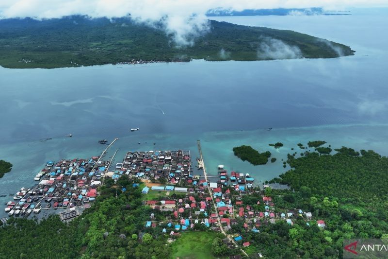 KKP Investigasi Pembantaian Lumba-lumba di Muna, Sulawesi Tenggara