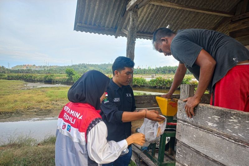 Pertamina Berdayakan Petani Tambak Aceh: Manfaatkan Limbah Jadi Pakan Udang