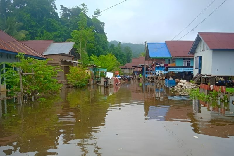 Banjir di Morowali Utara: 100 KK Terdampak, 500 Jiwa Mengungsi