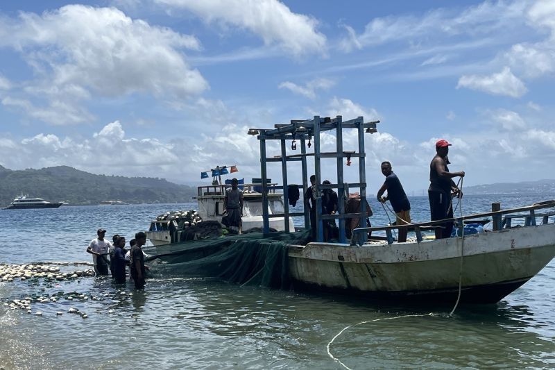 Waspada Banjir Rob! BMKG Imbau Warga Pesisir Maluku Siaga