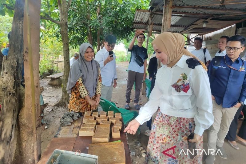 DPR Dorong IKM Bengkulu Manfaatkan Program UMi untuk Naik Kelas