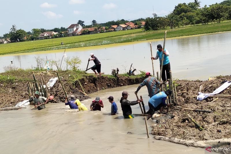 Gotong Royong Perbaiki Tanggul Jebol di Pebayuran Bekasi: Warga Antisipasi Banjir Susulan