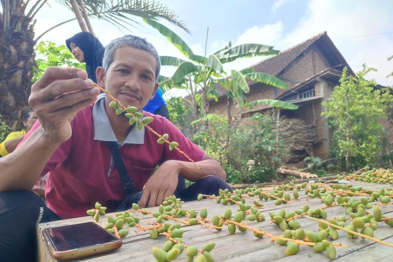 Ribuan Kurma Gratis di Ponorogo: Harapan Warga untuk Momongan