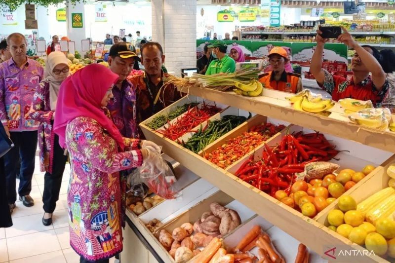 Harga Cabai Rawit Tembus Rp89.650 per Kg, BI Catat Harga Pangan Strategis Terbaru