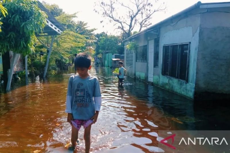 Pemkot Pekanbaru Buka Pintu Air Sungai Siak, Upaya Percepat Surut Banjir di Rumbai