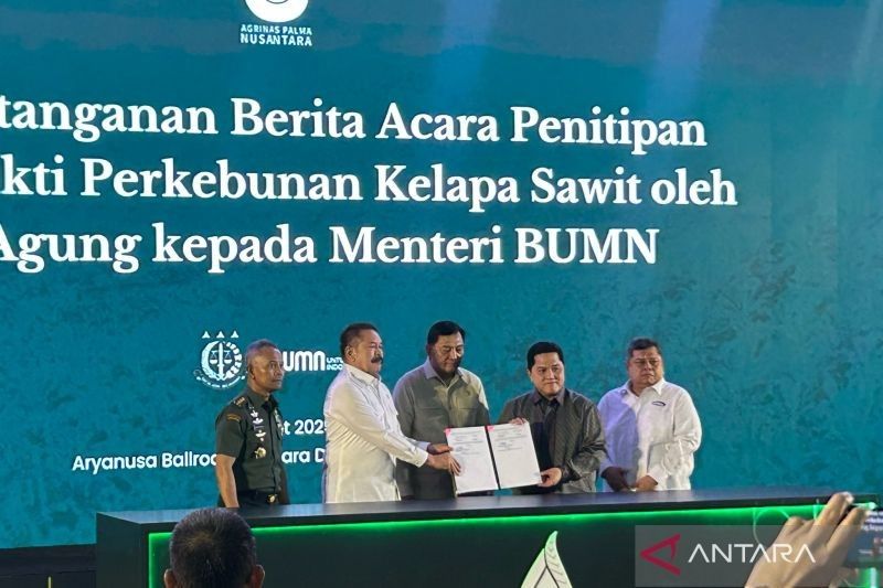 221 Ribu Hektar Lahan Sawit Sitaan dikelola BUMN, untuk Ketahanan Energi Nasional