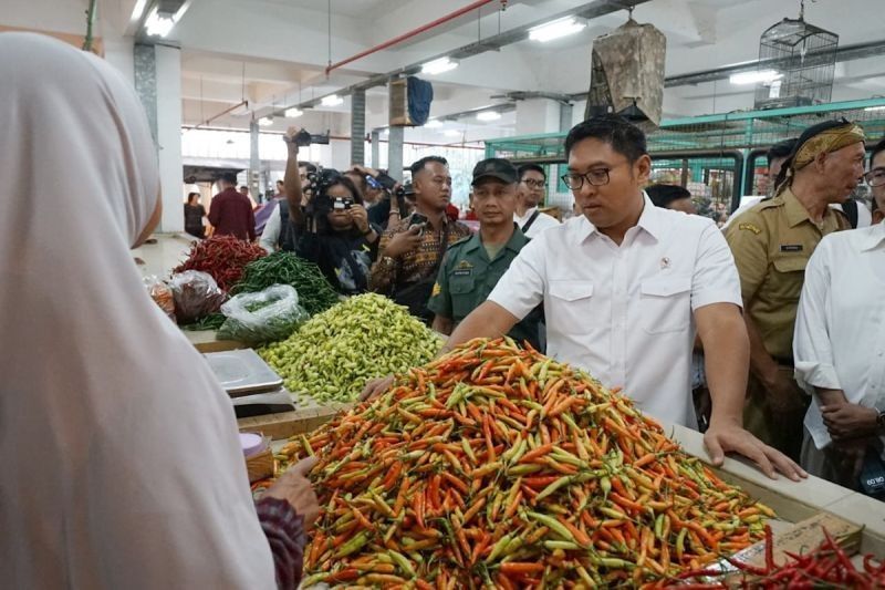 Wamentan Ajak Pemda Rutin Sidak Pasar, Jaga Stabilitas Harga Pangan Jelang Ramadhan