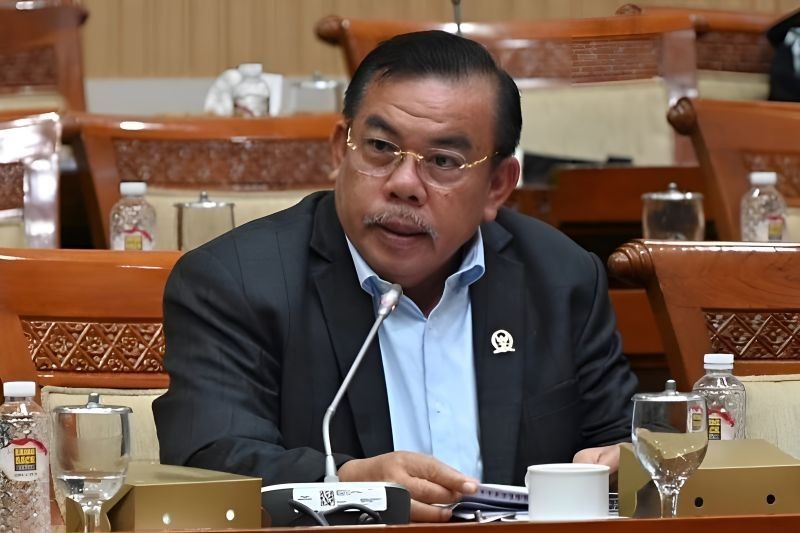 DPR Apresiasi Penggagalan Penyelundupan Senjata ke KKB Papua