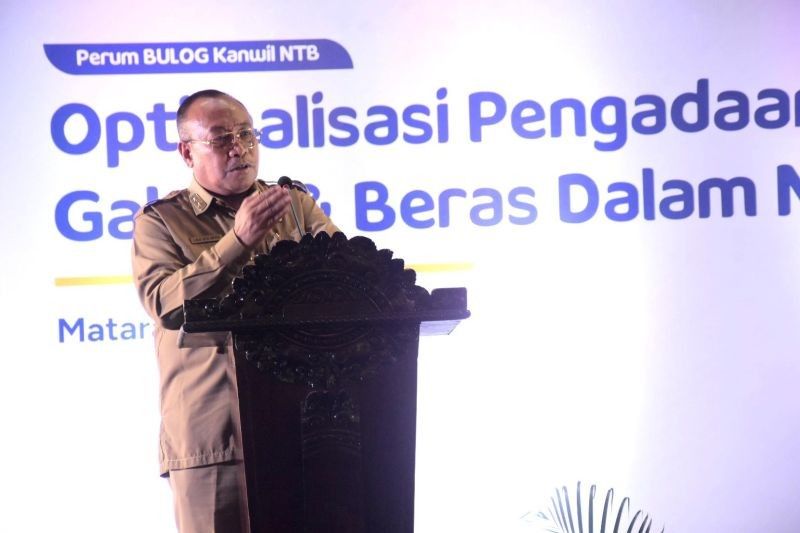 NTB Minta Bulog Optimalkan Serapan Beras Lokal, Impor Diharapkan Berhenti