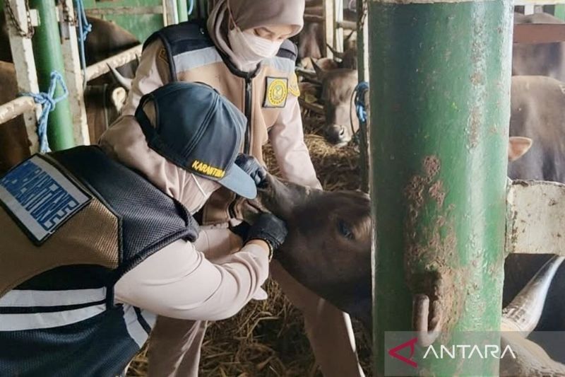 Kalsel Perketat Pengawasan Komoditas di Pelabuhan Selama Ramadhan