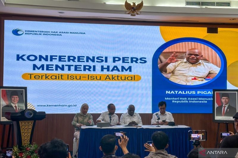 Surplus Demokrasi di Indonesia? Menteri HAM Ungkap Fenomena Menarik