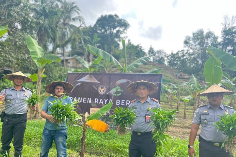 Lapas Tarakan Sukses Panen Raya Sayuran, Wujudkan Ketahanan Pangan Nasional