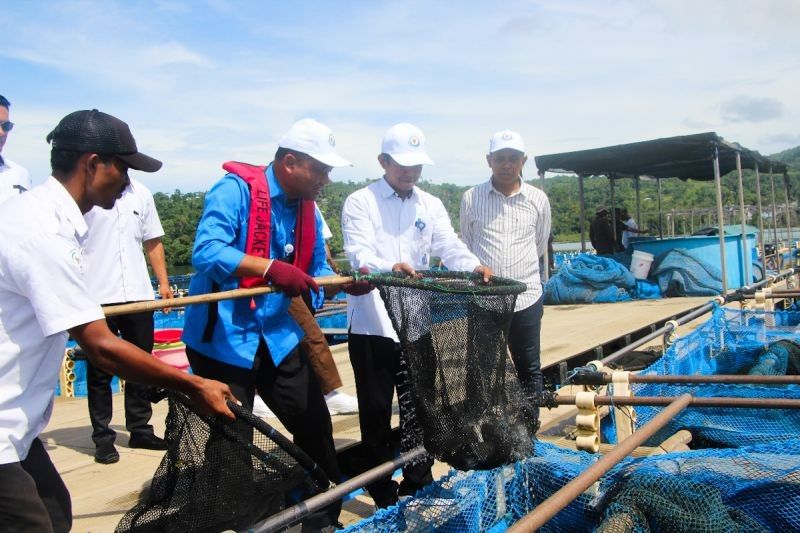 KKP Pastikan Stok Kakap Putih Aman hingga Lebaran di Ambon