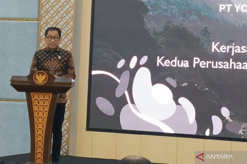 Danantara: Potensi Majukan Industri Pesawat Terbang Nasional