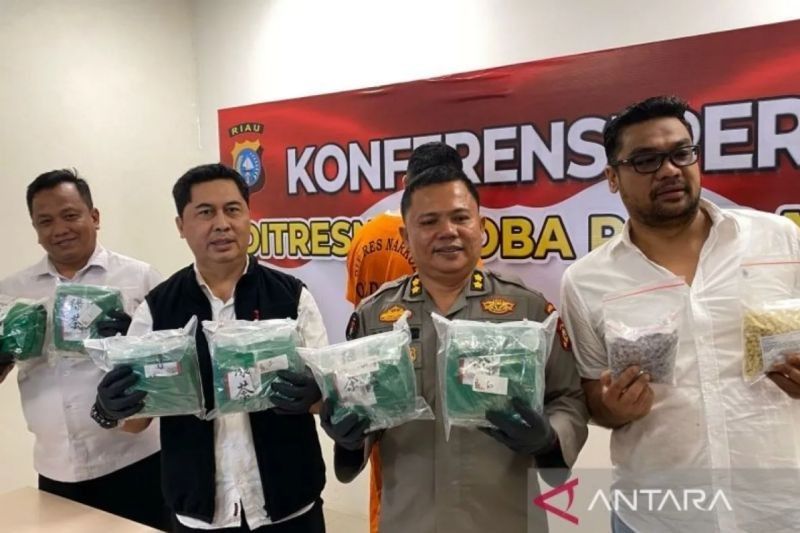 Polda Riau Buru Pengendali 13 Kg Sabu dan Ribuan Ekstasi, Kurir Ditangkap