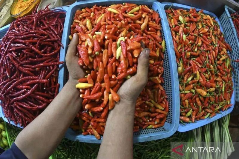 Harga Cabai Rawit Tembus Rp80.600 per Kg, BI Catat Harga Pangan Terbaru