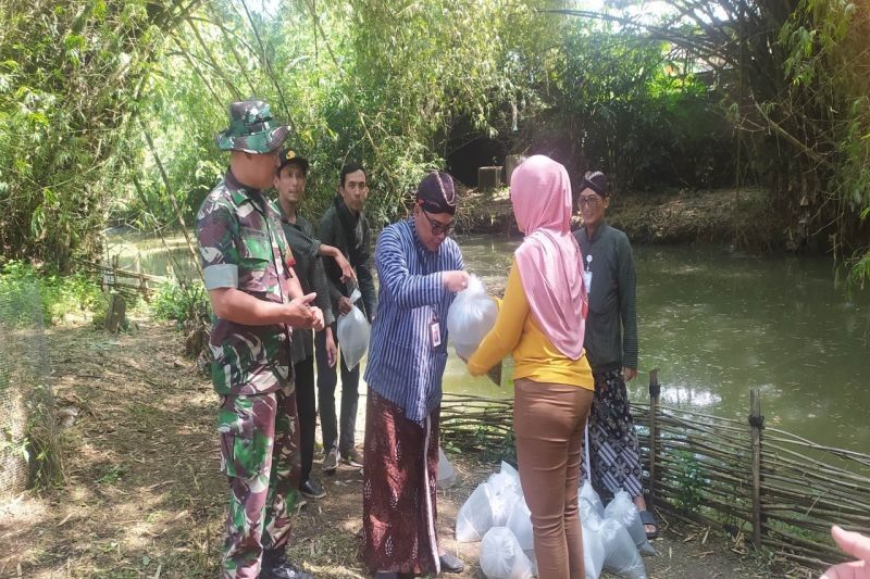 DKP Gunungkidul Tebar 138.000 Benih Ikan di Sungai Oya: Upaya Jaga Ekosistem dari Ikan Invasif