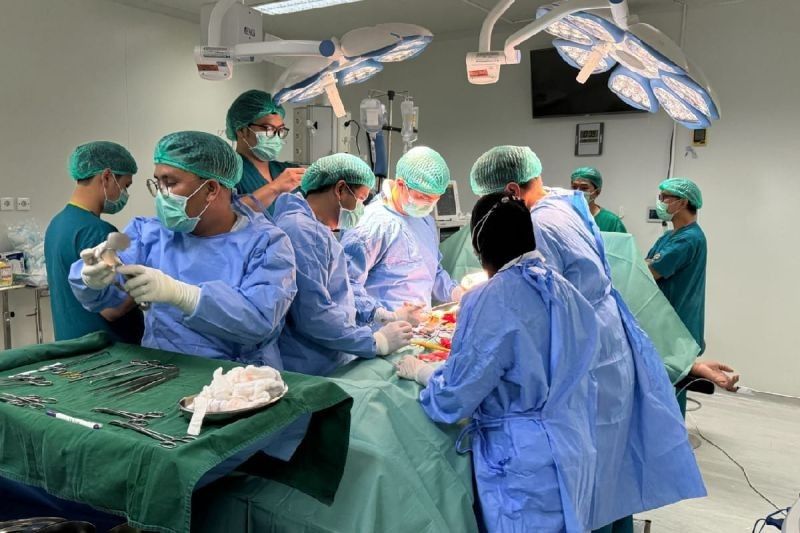 RS Adam Malik Medan Mandiri Transplantasi Ginjal: Solusi Penyakit Ginjal Kronis