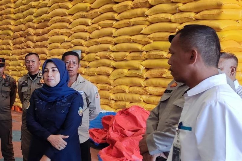 Stok Beras Bulog Konawe Selatan Aman hingga 10 Bulan, Antisipasi Lonjakan Harga Jelang Lebaran